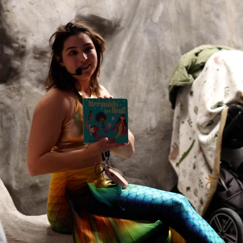 Mermaid visit add-on